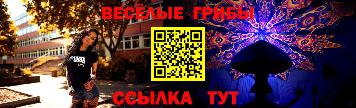 Псилоцибиновые грибы мицелий Троицк