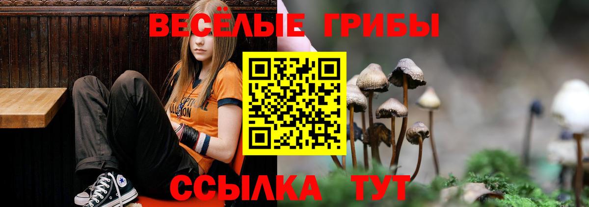 Галлюциногенные грибы GOLDEN TEACHER  Вход с VPN  Троицк 